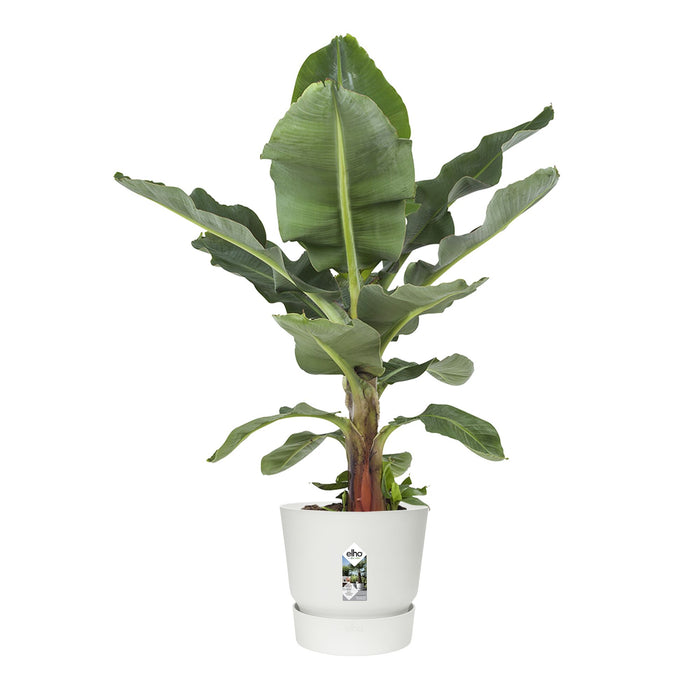 elho Greenville Bloempot 40 cm