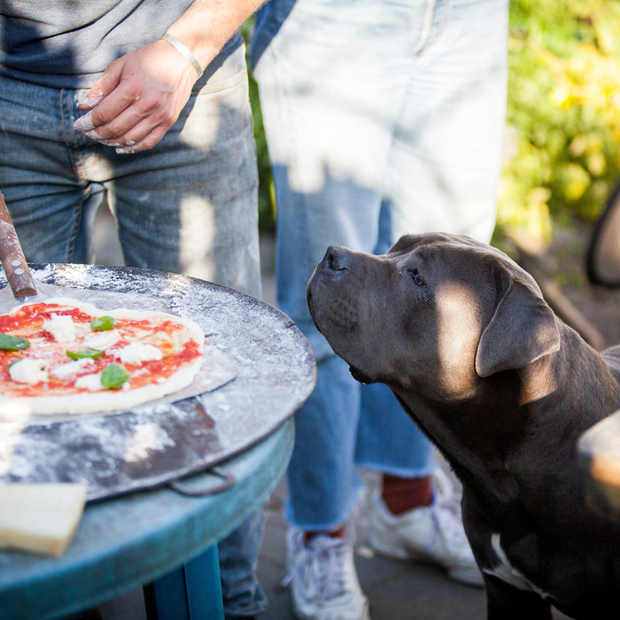 Städler Made Pizzaschep