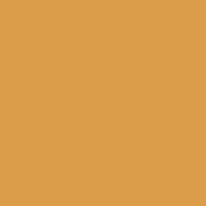 Graham & Brown Testerpot Matte Muurverf Barcelona oranje 100ml