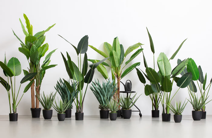Woood Strelitzia Kunstplant Groen 164 cm