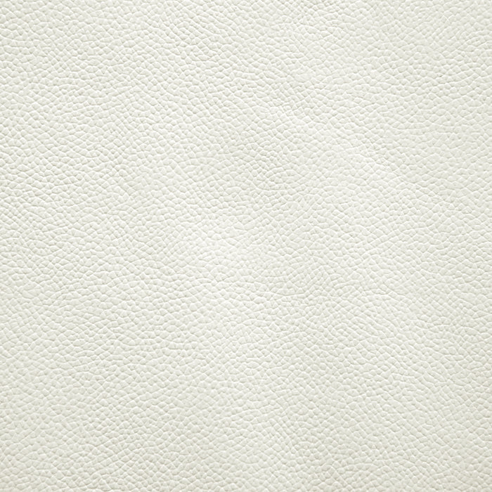 f992eaa8-cf28-4b99-b86f-cef6aa0af639-afbeelding10.jpg (3642670) 
