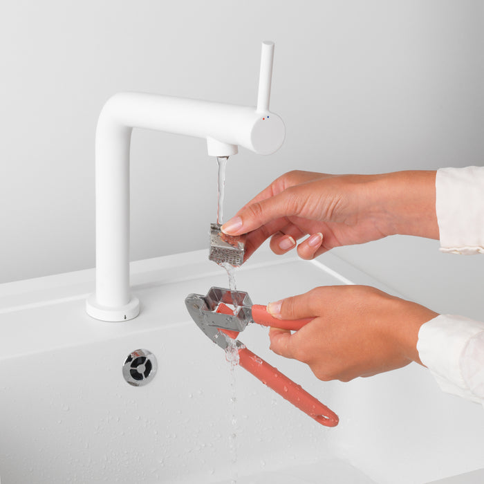 Brabantia Tasty+ Knoflookpers