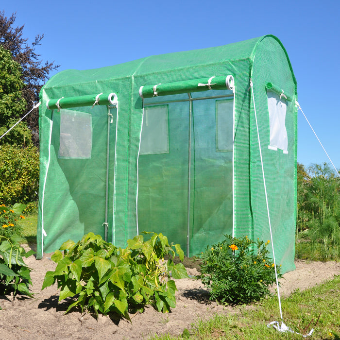 Royal Well Maxi Tomato Galva Foliekas