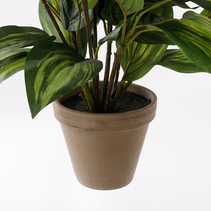 Mica Decorations Hosta Kunstplant - H65 x Ø40 cm - Groen