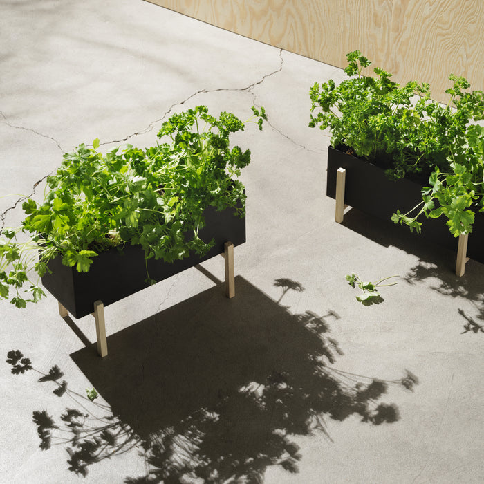 Design House Stockholm Botanic Plantenbox