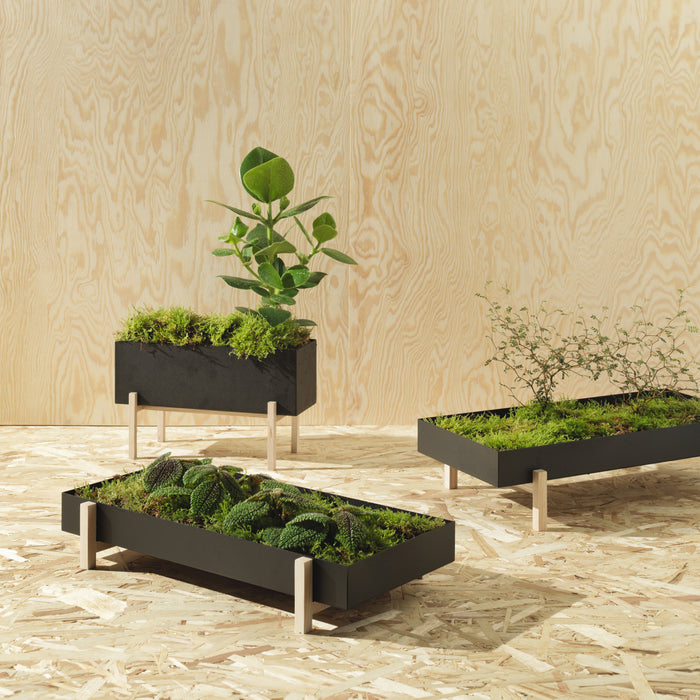 Design House Stockholm Botanic Kruidenbox