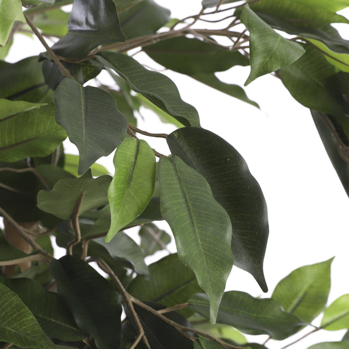 Mica Decorations Ficus Kunstplant - H150 x Ø85 cm - Groen