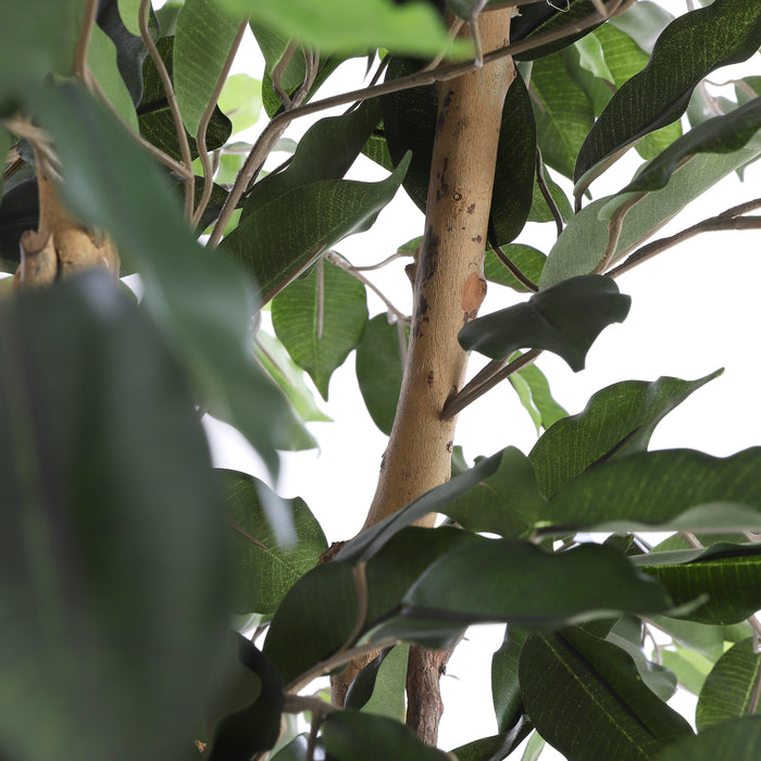 Mica Decorations Ficus Kunstplant - H150 x Ø85 cm - Groen