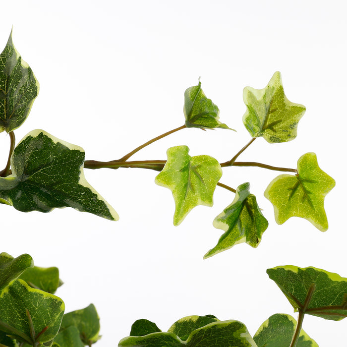 Mica Decorations Hedera Kunstplant Hangend 129 cm Bont