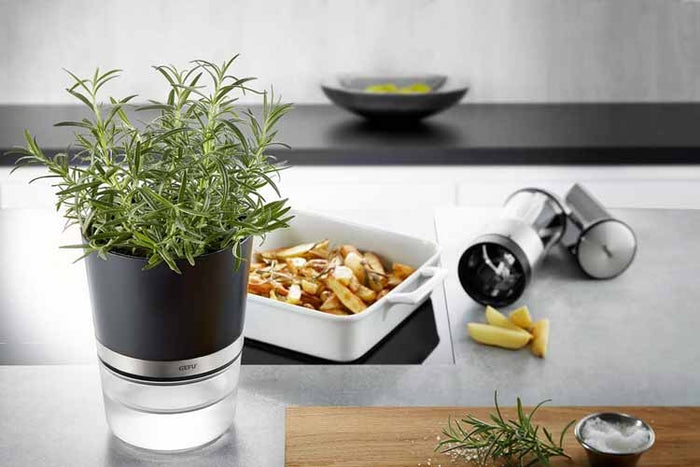 Kruidenpot Botanico - Gefu