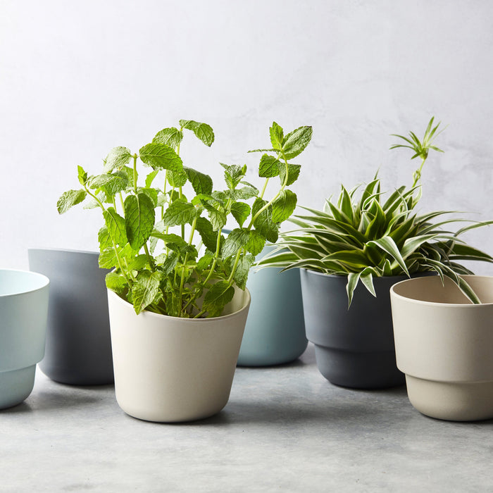 Point-Virgule Kruidenpot Ø 13,7 cm - Mist Blauw