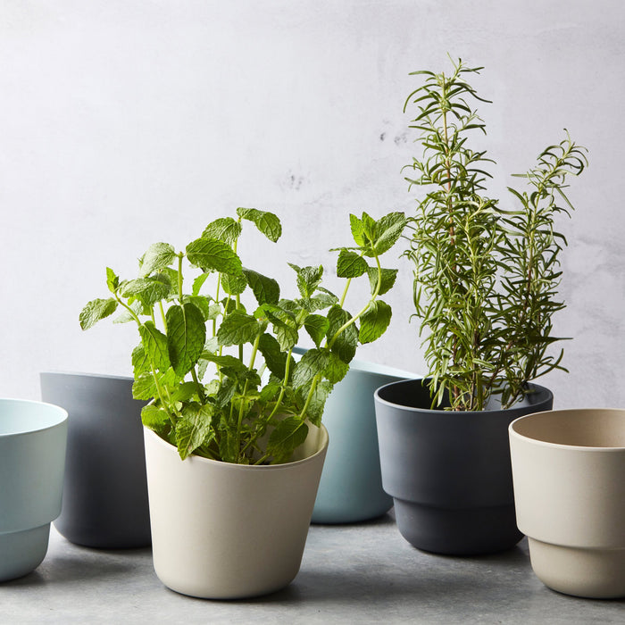 Point-Virgule Kruidenpot Ø 13,7 cm - Mist Blauw