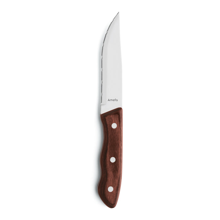 Amefa Hercule Steakmessenset 4-delig - Bruin