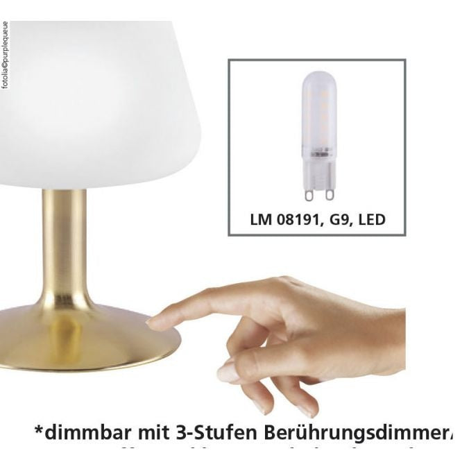 Paul Neuhaus Paul Neuhaus Till Tafellamp Mat Goud incl. Dimmer
