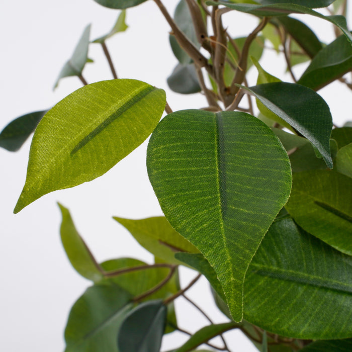 Mica Decorations Ficus Natasja Kunstplant in Bloempot H40 cm