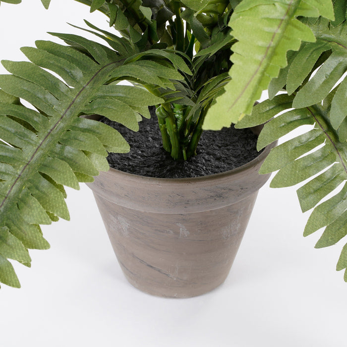Mica Decorations Boston Varen Kunstplant - H35 x Ø45 cm - Groen