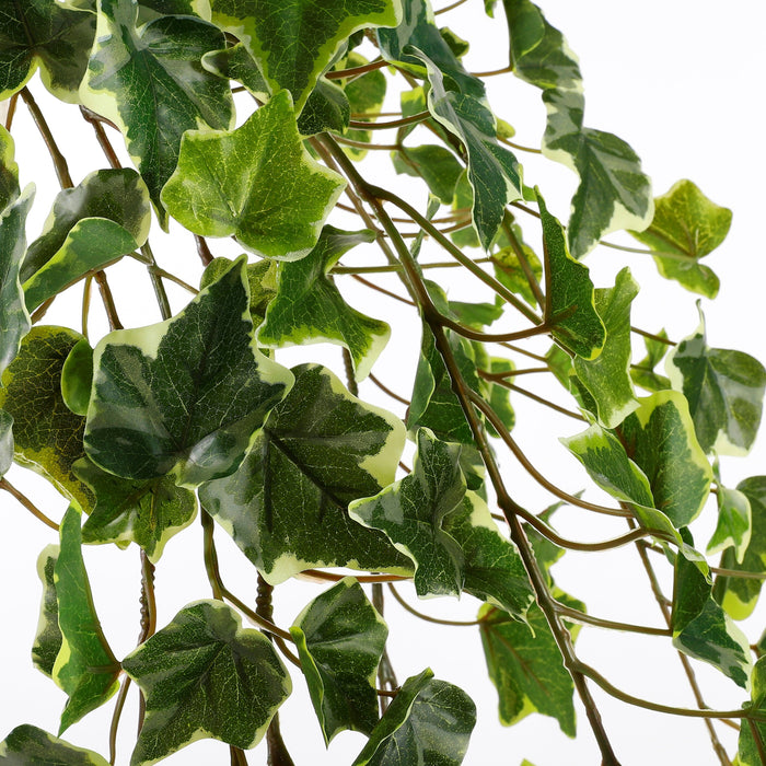 Mica Decorations Hedera Kunstplant Hangend 129 cm Bont