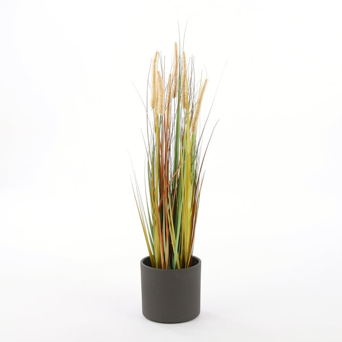 Mica Decorations Pluimgras Dogtail Kunstplant H92 cm