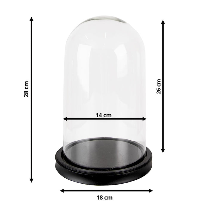 Clayre & Eef Stolp  Ø 18x28 cm Zwart Glas Hout Rond Glazen Stolp
