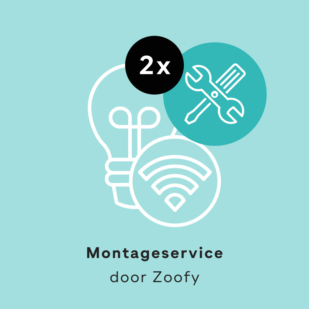 2x Installatie Phillips Hue - Door Zoofy in samenwerking met fonQ