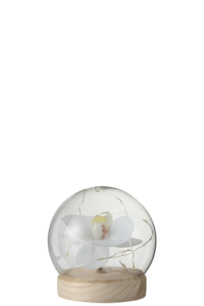J-Line Stolp Bol Led Bloemen Glas|Hout Wit|Naturel Small