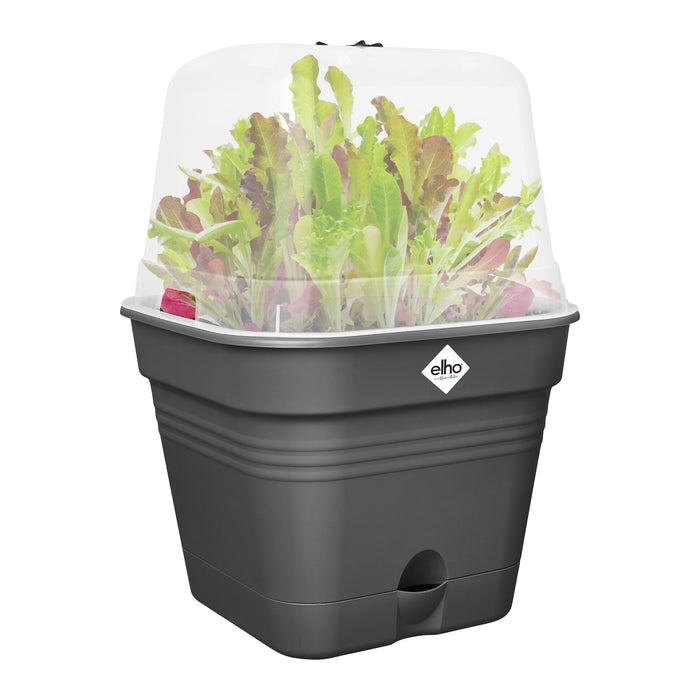 elho Green Basics Kweekpot B 35 x D 35 cm - Zwart