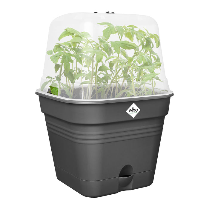 elho Green Basics Kweekpot B 25 x B 25 cm - Zwart