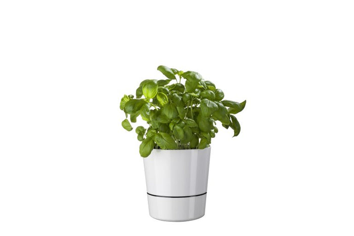 Mepal - Kruidenpot large - Nordic blue