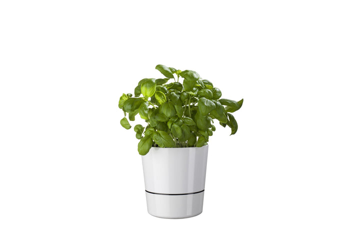 Mepal - Kruidenpot large - Nordic blue