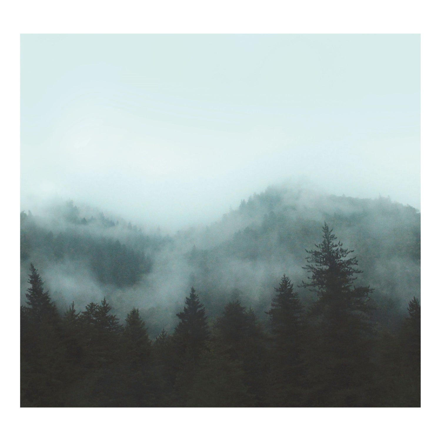 Art for the Home - Fotobehang - Scandinavisch - 280x300 cm