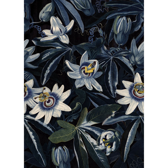 Art for the Home Bloemenzee Passiebloem Fotobehang 200x280 cm