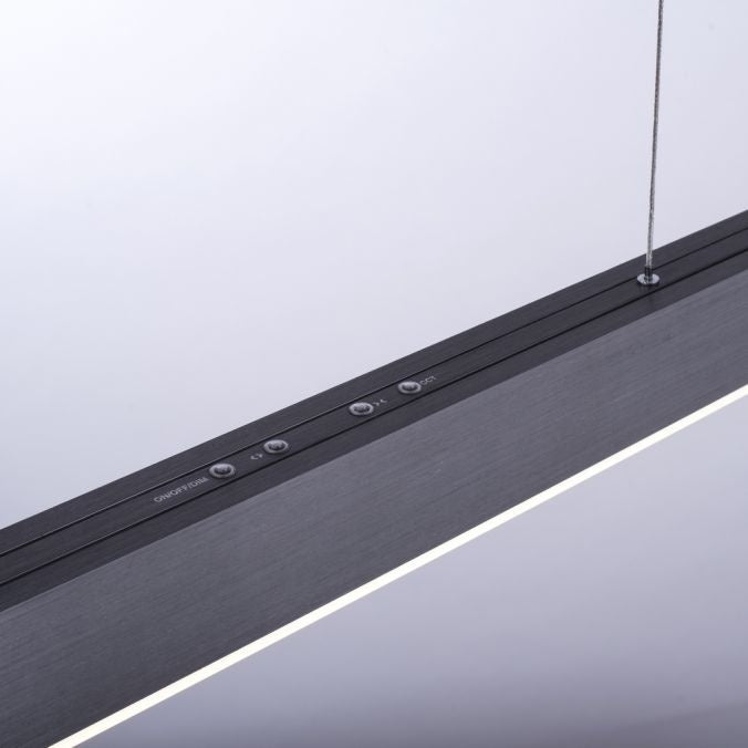 Paul Neuhaus Paul Neuhaus Adriana Hanglamp Antraciet L120-180cm