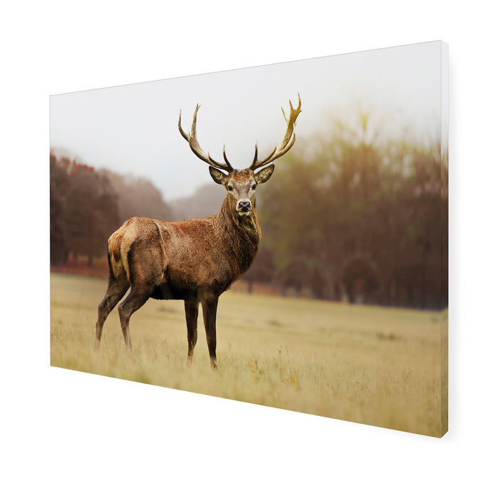Art for the Home Hert - Buitencanvas - 50x70 cm