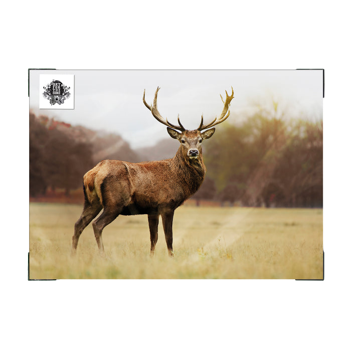 Art for the Home Hert - Buitencanvas - 50x70 cm