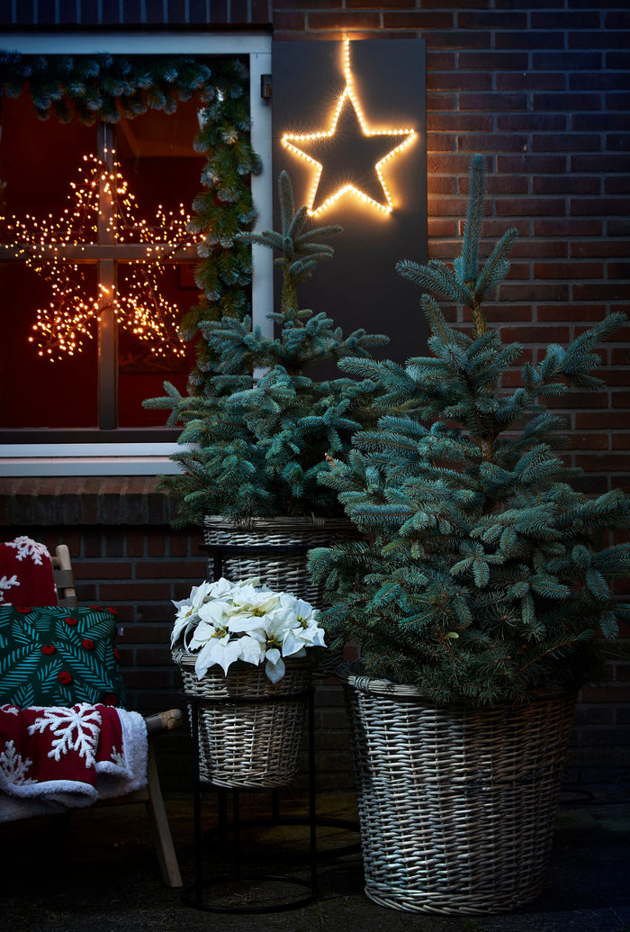 Luca Lighting Ster Dandelion met Warm Witte LED - Ø58 cm - Bruin