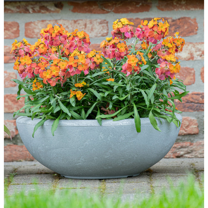Mega Collections Plantenpot - schaal - kunststof - grijs - D38 x H14 c