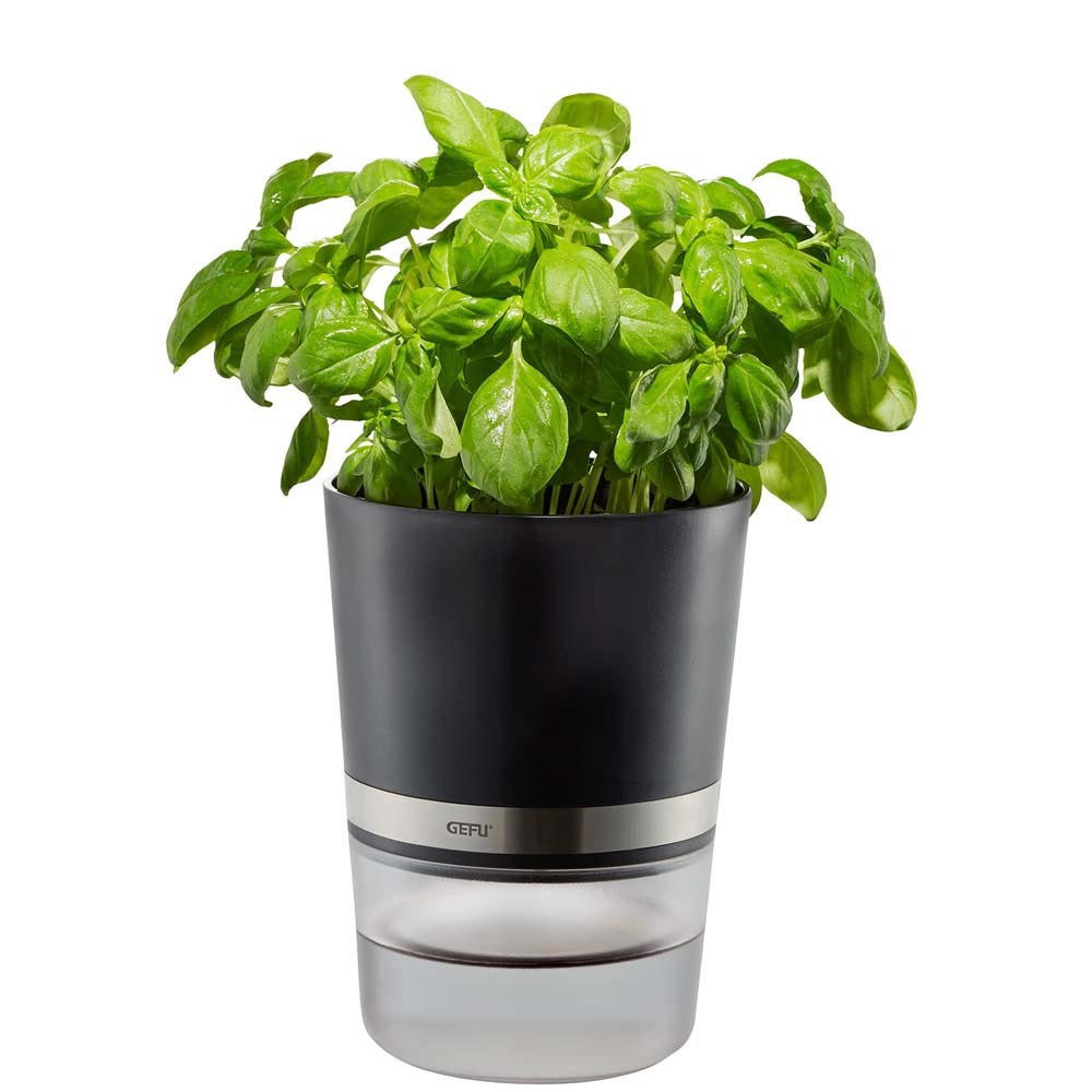 Kruidenpot Botanico - Gefu