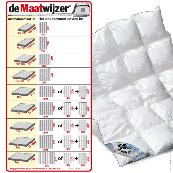 Fabiola Oostenrijks dons Winter dekbed 260x220cm