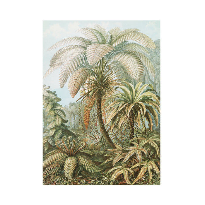 Art for the Home  Jungle Filicinae Fotobehang 280x200 cm