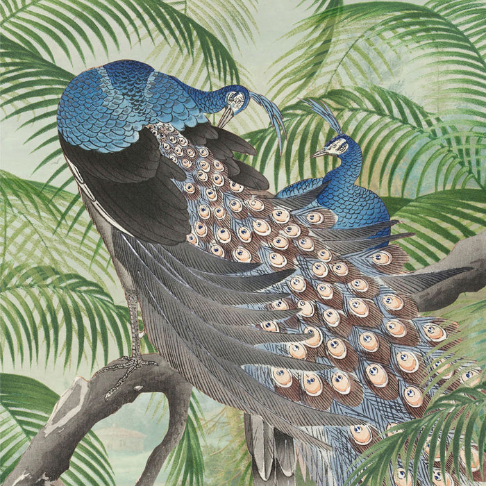 Art for the Home Peacock Fotobehang 280x200 cm
