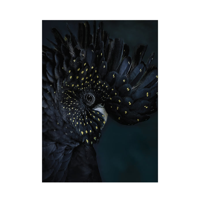 Art for the Home Exotic Bird Fotobehang 280x200 cm