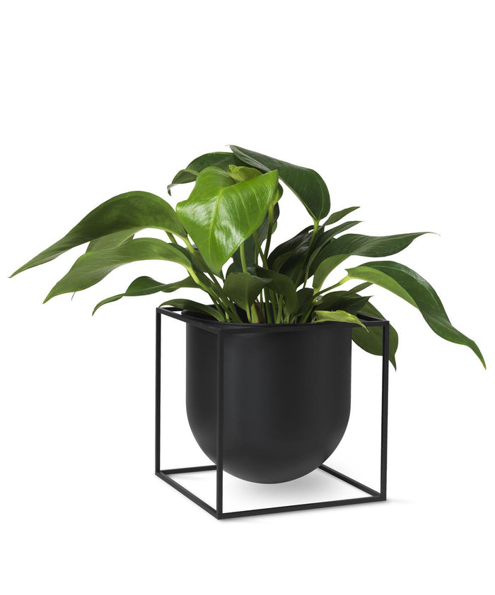 Audo Copenhagen Kubus 23 plantenbak zwart
