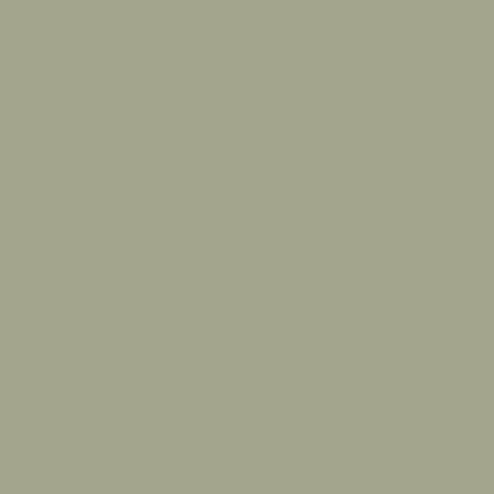 Graham & Brown Testerpot Matte Muurverf Sage 100ml