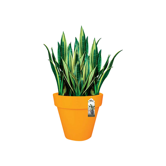 Elho Pure Round Bloempot Ø 40 cm - Geel