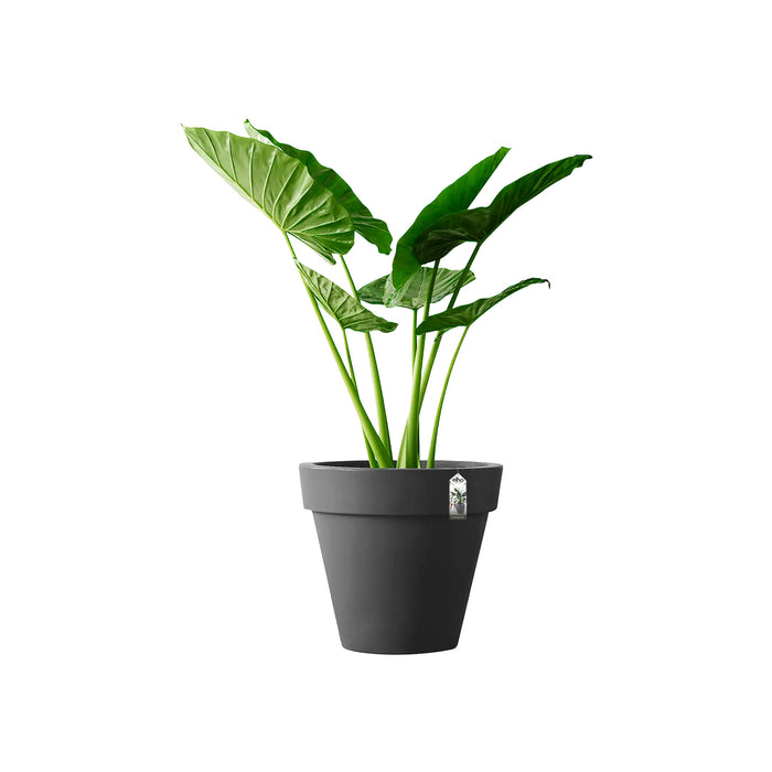Elho Pure Round Bloempot Ø 40 cm - Antraciet