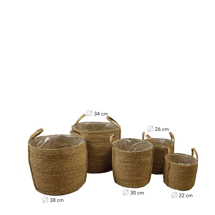 DKNC - Plantenbak Edmonton - Zeegras - 38x36cm - Bruin