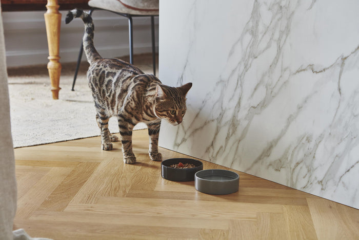 MiaCara Scodella kattenvoerbak Graphite