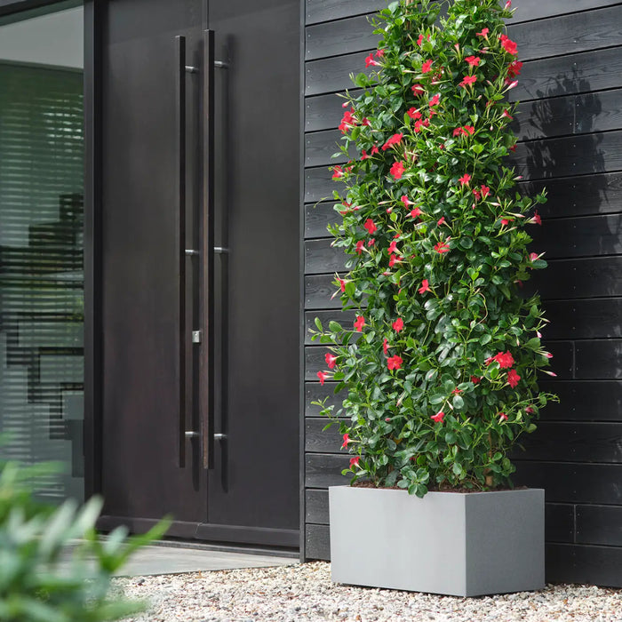 elho Vivo Next Plantenbak B 60 cm - Grijs