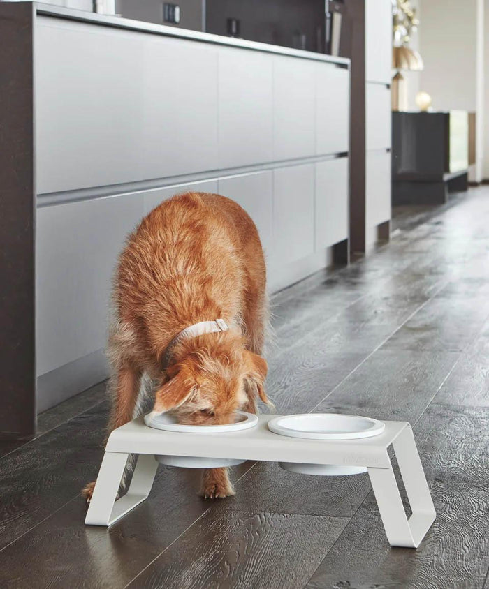 MiaCara Desco hondenvoerbak porselein medium essen grijs