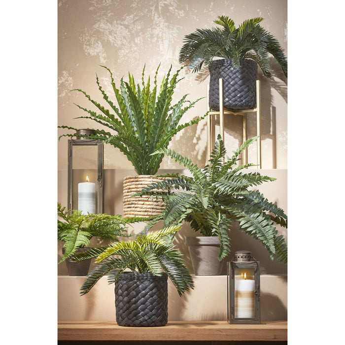 Mica Decorations Cycas Palm Kunstplant - H33 x Ø34 cm - Groen